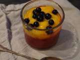 Verrine Framboise Mangue et Myrtilles