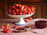 Confiture de cerises