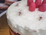 Cheesecake aux biscuits roses et aux framboises sans cuisson