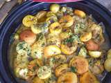 Tajine poulet abricots secs et citrons confits