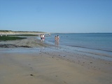 Promenade dans l’île d’Oléron