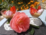 Savoureuse : Compote de Rhubarbe, Banane et Fève Tonka