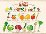 Fruits et légumes de Mars