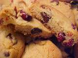 Biscuits aux canneberges et aux brisures de chocolat (chocolat chip)