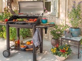 6 Meilleurs barbecues à charbon de bois de moins de 500 €