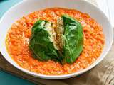 Blettes farcies au risotto d’orge aux herbes et sauce tomate maison