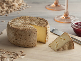 Rappel Produit : cette Tomme de brebis contaminée avec une bactérie ! Découvrez pourquoi il ne faut plus la consommer