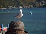 Trois jours à Annecy