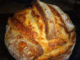 Pain au levain de seigle tout simple aux flocons d'avoine et quinoa en poudre