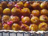 Tarte mirabelles, canistrellis et pralines roses