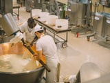 Fromageries Occitanes : une plongée au cœur de l’art fromager en Occitanie