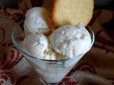 Glace à la noix de coco sans sorbetière (Guyane)