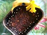 Brownie chocolat - banane