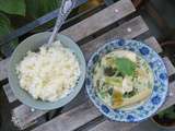 Curry de légumes verts et tofu + riz à la noix de coco