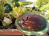 Gâteau au cacao et à la farine de pois chiche