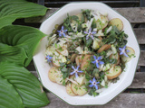 Salade tiède de pommes de terre aux herbes