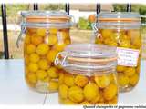 Mirabelles au sirop