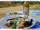 Salade de farfalles tomato-mozza-roquette