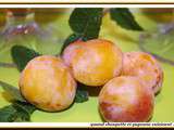 Soupe de mirabelles au jus d'orange