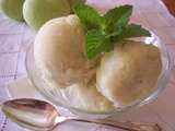 Sorbet à la pomme verte