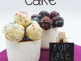 Pop cake aux 2 chocolats