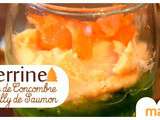 Verrine Mousse de Saumon et Purée de Concombre