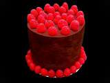 Layer cake chocolat framboise