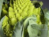 Chou Romanesco