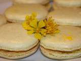 Macarons au citron jaune et basilic, recette de Christophe Felder