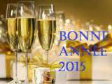 Bonne annee 2015