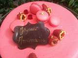 Gateau macaron chocolat noir framboises