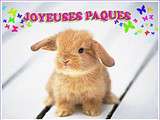 Joyeuses paques