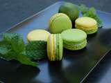 Macarons mojito