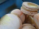 Macarons sudachi