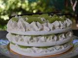 Mille-feuilles meringues aux kiwis