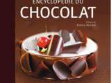 Tarte extraordinairement chocolat de frederic bau