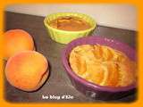 Clafoutis aux abricots