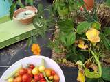 Tomates à volonté, de la vanille...Une confiture est née