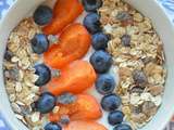 Bowl de fromage blanc, abricot, myrtilles et muesli