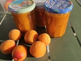 Confiture d'abricots au Monsieur Cuisine Plus (sans vrai sucre)