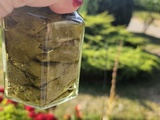 Feuilles de vigne en saumure (pour dolmas/sarmale)