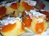 Gâteau aux abricots