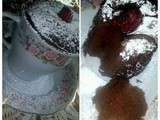 Mug Cake au chocolat