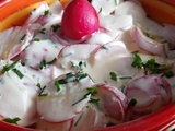 Salade de radis au fromage blanc