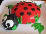 Coccinelle qui fait des petits