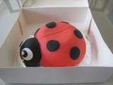 Grande coccinelle en chemin