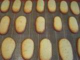 Langues de chat