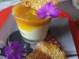 Panna cotta et tuiles aux fruits de la passion