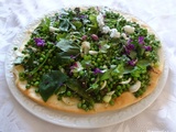 Galette toute verte