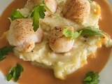 Noix de Saint Jacques sur purée à la sauce homard